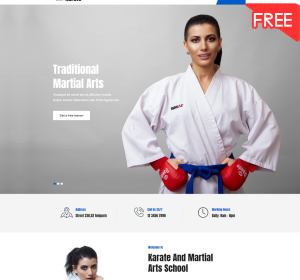 Karate Free - WordPress theme